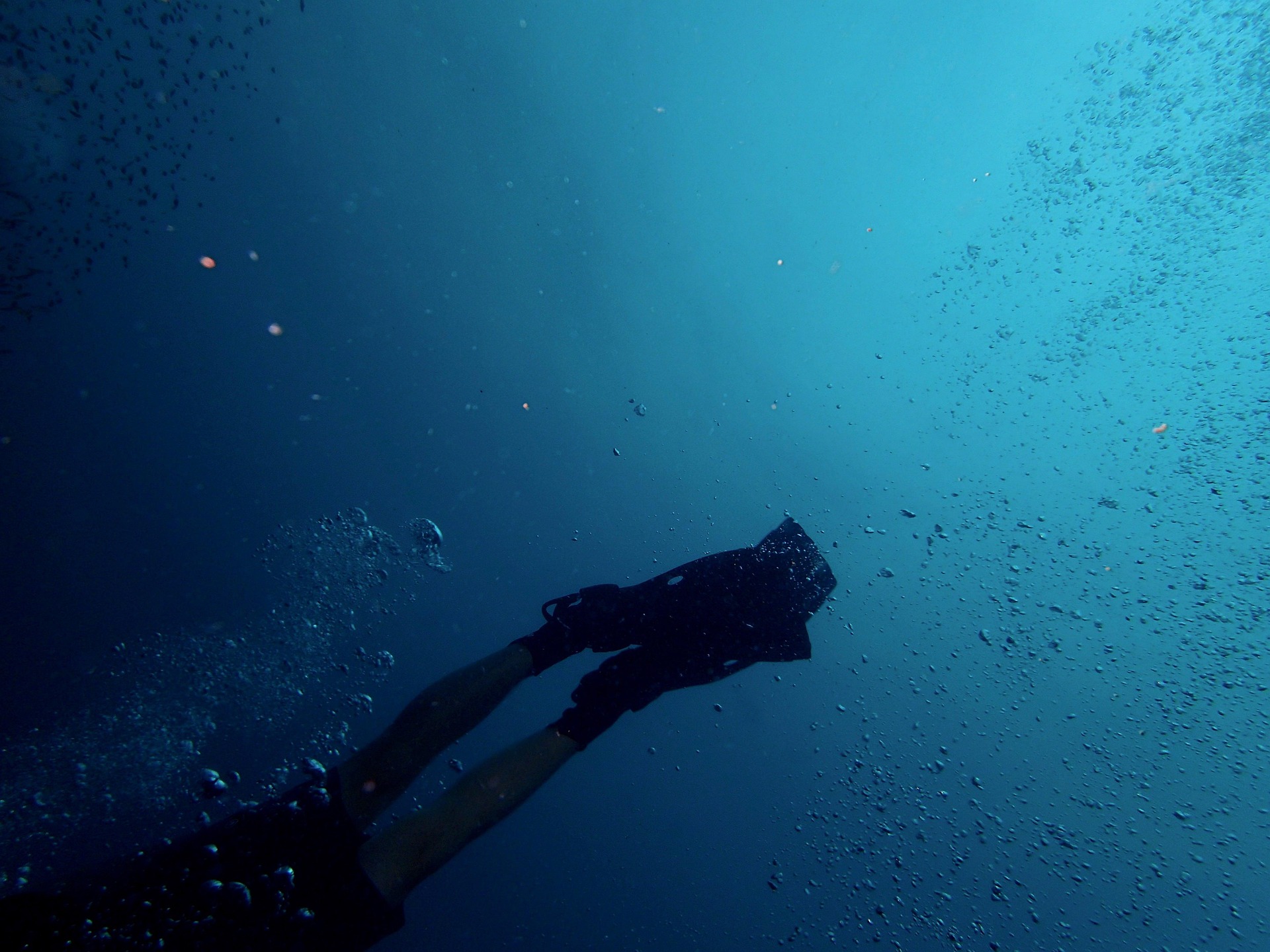 Diver descending into blue water